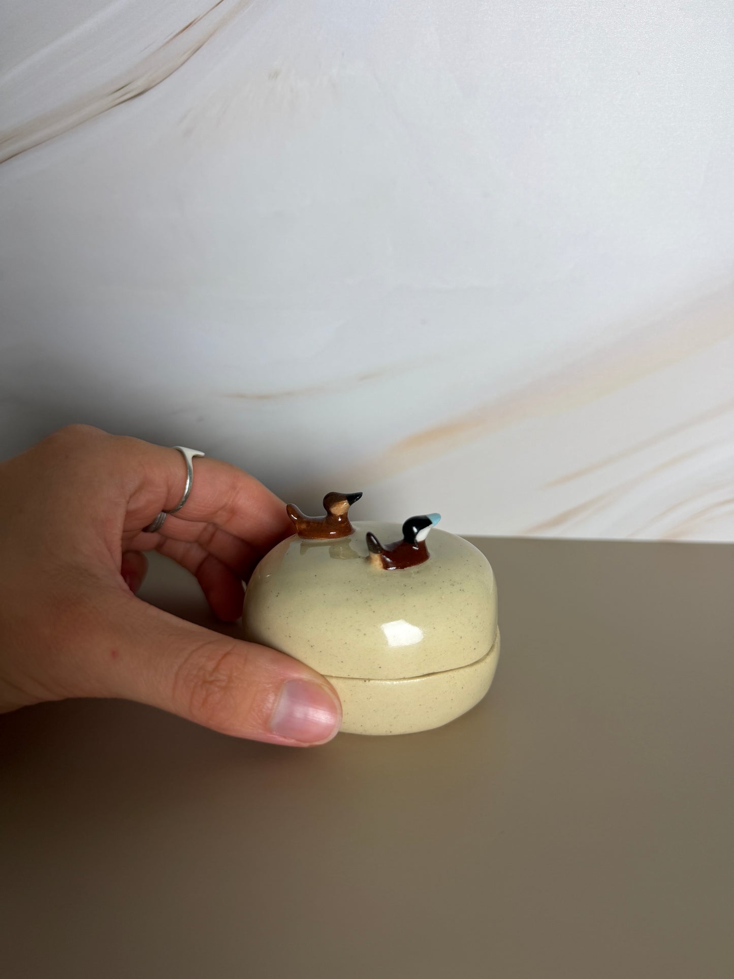 Ruddy Duck Jar