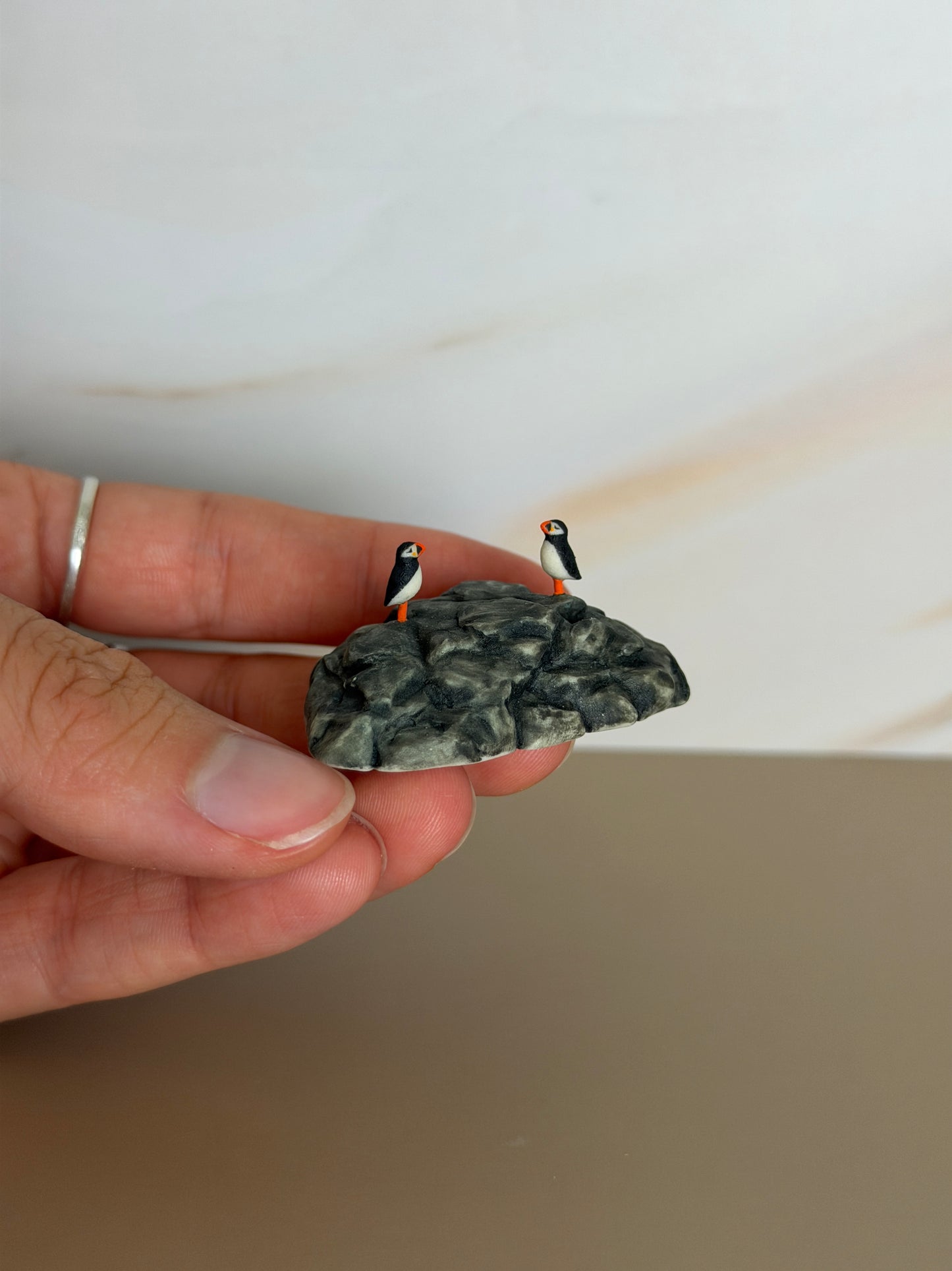 Eastern Egg Rock