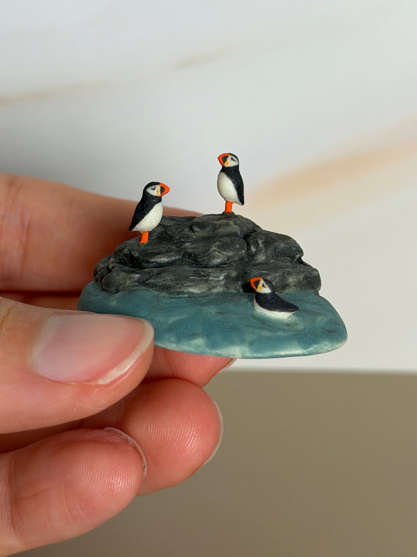 Puffin Swimming