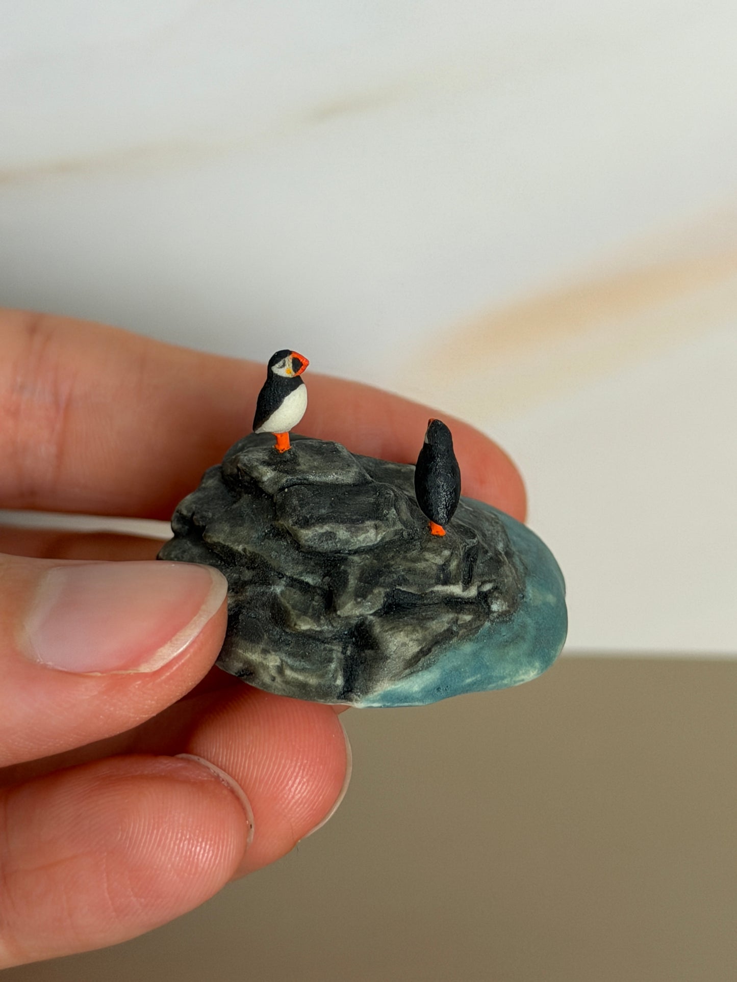 Puffin Swimming