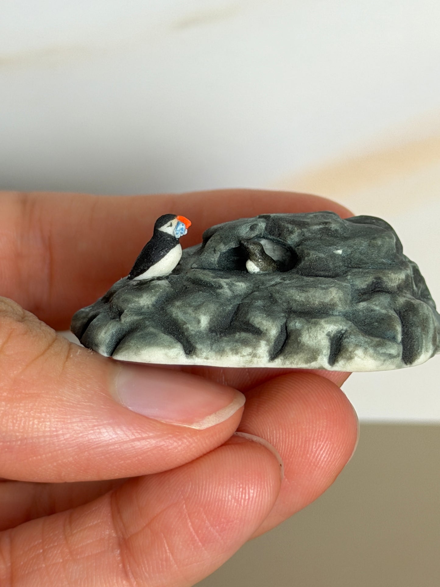 Puffin Burrow