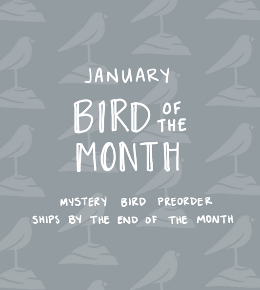 January Bird of the Month
