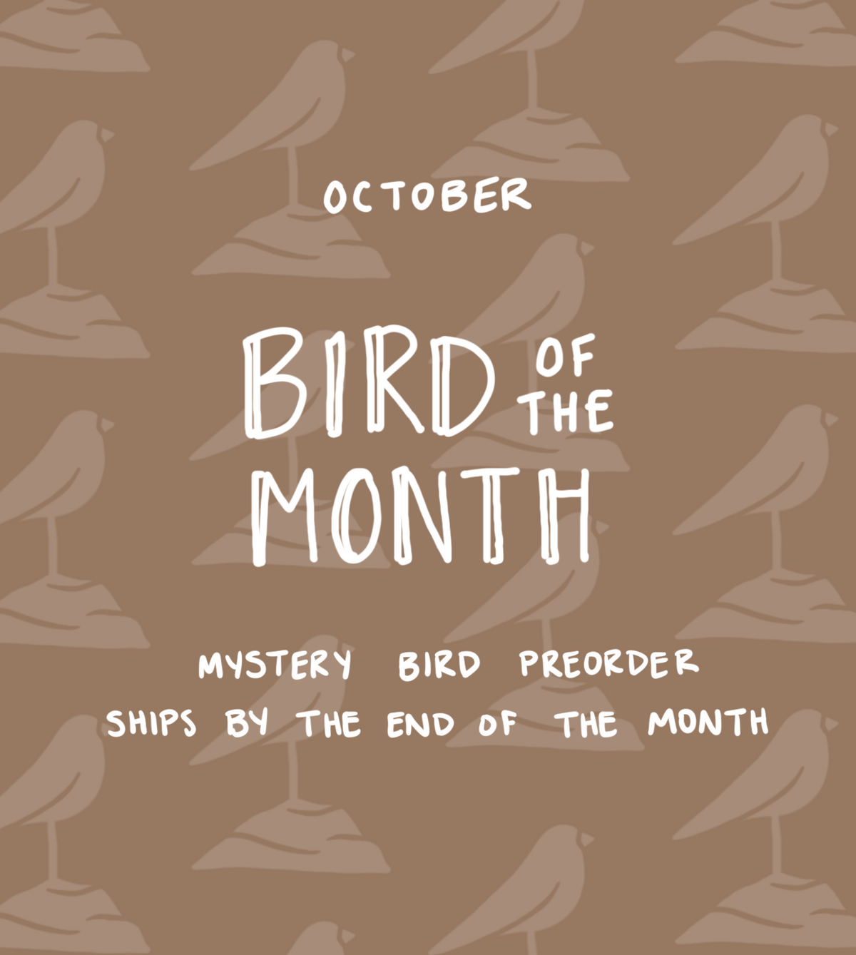 October Bird of the Month
