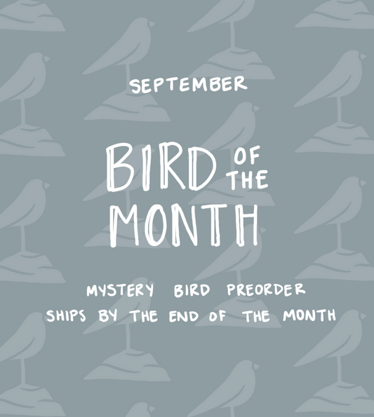 September Bird of the Month