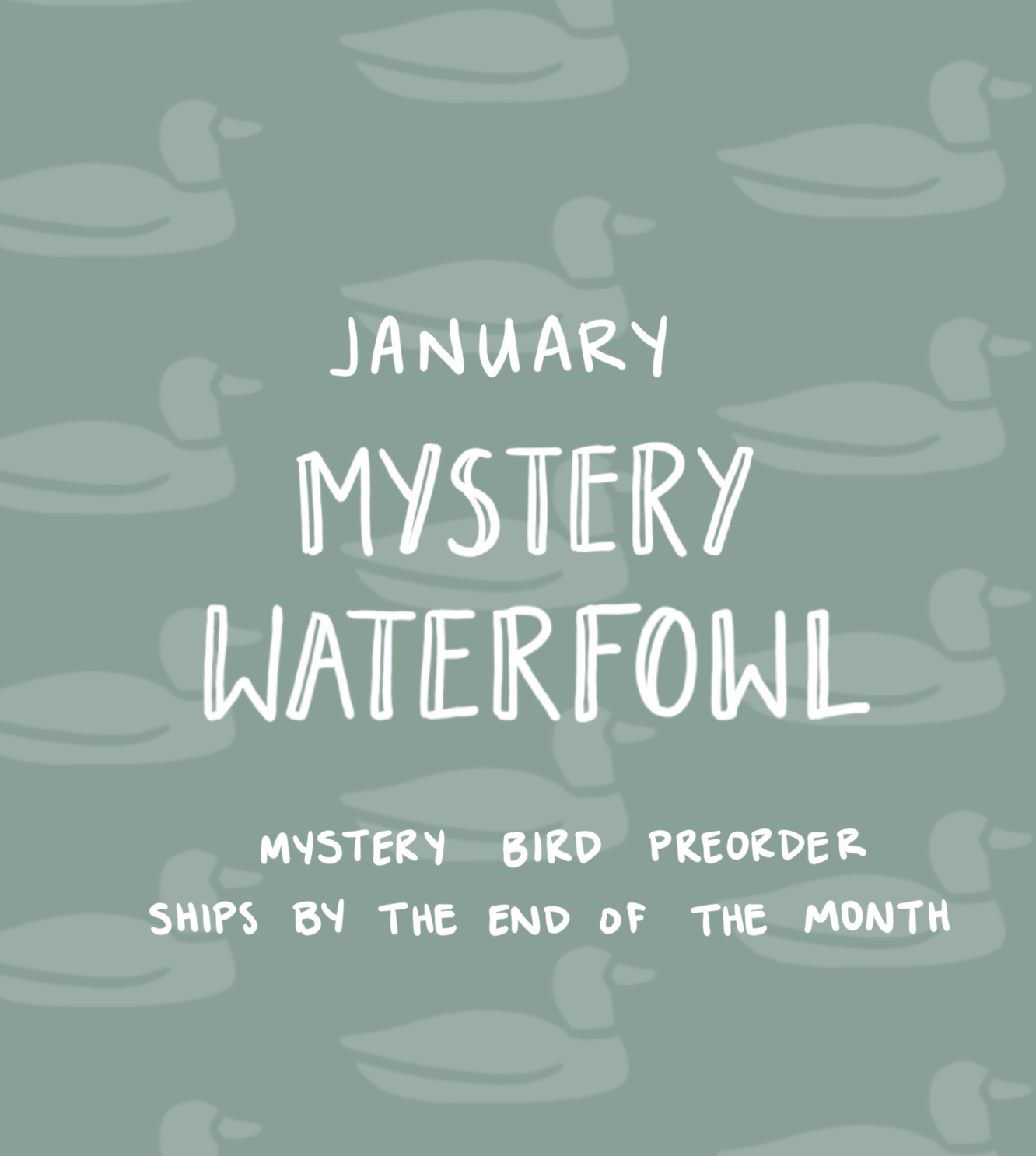 January Mystery Waterfowl