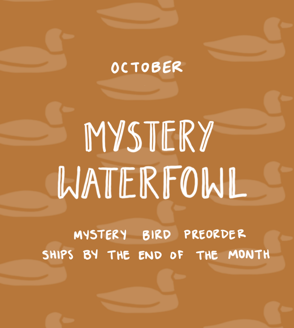 October Mystery Waterfowl