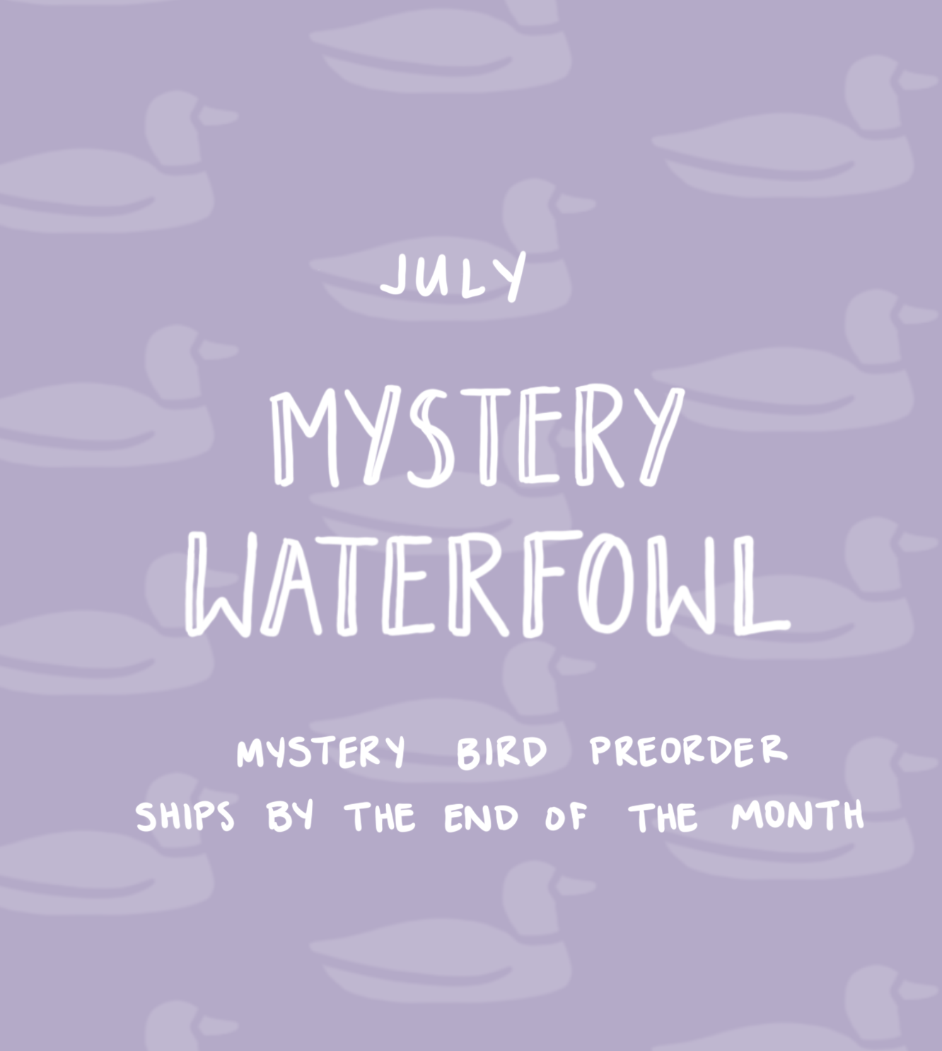 July Mystery Waterfowl