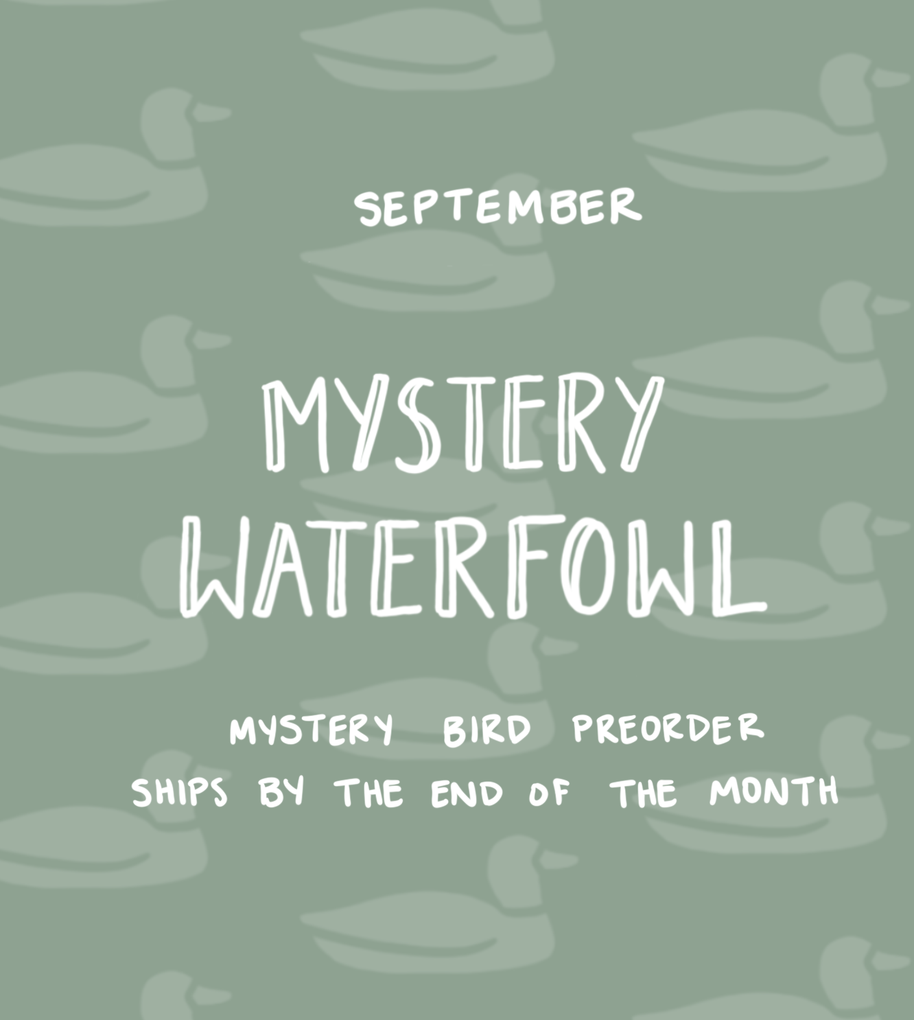 September Mystery Waterfowl