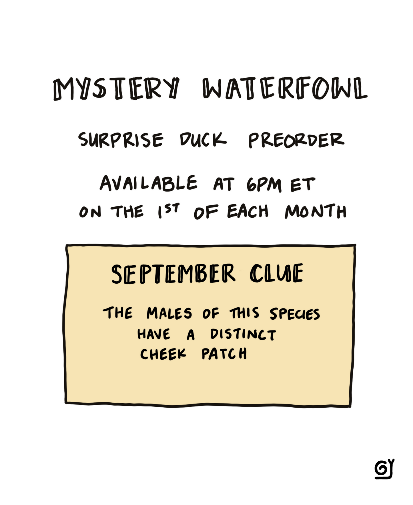 September Mystery Waterfowl